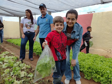 Foto 12: Projeto Pequeno Agricultor: Colheita de hortaliças