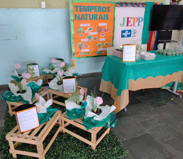 Foto 9: Programa do Sebrae incentiva alunos a serem Jovens Empreendedores