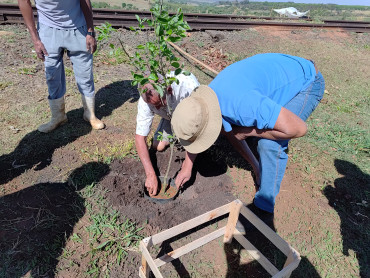 Foto 3: Pomar Urbano Comunitário é implantado em Quatá
