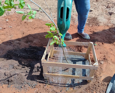 Foto 19: Pomar Urbano Comunitário é implantado em Quatá