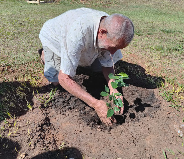 Foto 21: Pomar Urbano Comunitário é implantado em Quatá
