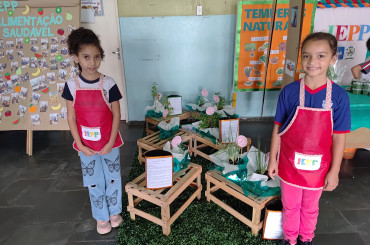 Foto 54: Programa do Sebrae incentiva alunos a serem Jovens Empreendedores