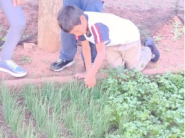 Foto 31: Projeto 