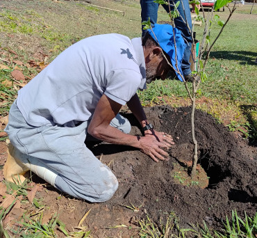 Foto 11: Pomar Urbano Comunitário é implantado em Quatá