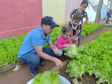 Notícia Projeto Pequeno Agricultor: Colheita de hortaliças