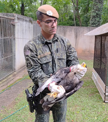 Foto 22: Quatá participa em Garça de capacitação sobre manejo de fauna silvestre