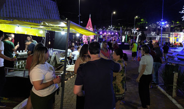 Foto 9: Natal Encantado das Fadas reúne programação cultural e ações de fim de ano em Quatá