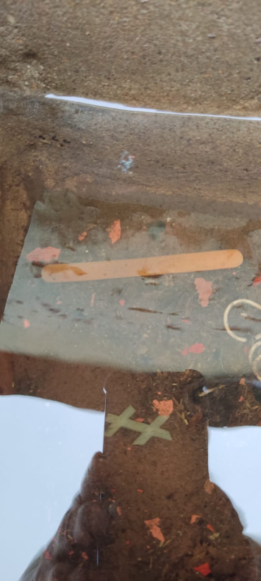 Foto 11: A luta contra a Dengue continua! Fique atento. Não deixe água parada.