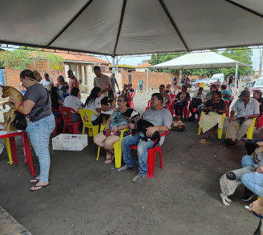 Foto 37: 115 animais são atendidos pelo 