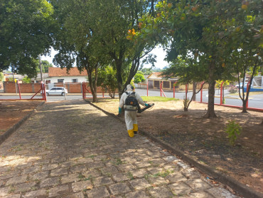 Foto 142: Preparativos para volta às aulas 