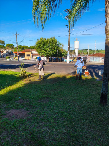 Foto 44: Resumo dos trabalhos realizados durante o mês de janeiro e início de fevereiro