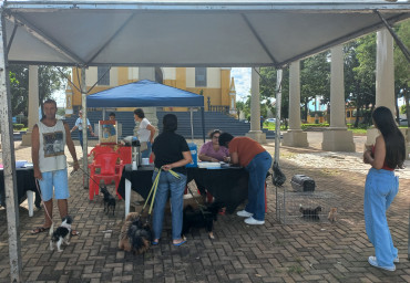 Foto 10: Vacinação antirrábica, testes de leishmaniose e adoção de animais são realizados em Quatá