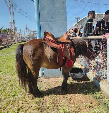 Foto 102: Festa do Trabalhador conta com diversas ações e reúne centenas de pessoas