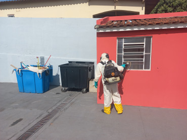 Foto 60: Preparativos para volta às aulas 