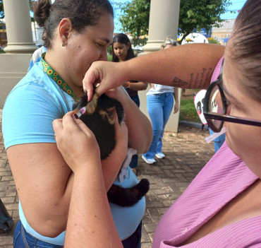 Foto 15: Vacinação antirrábica, testes de leishmaniose e adoção de animais são realizados em Quatá