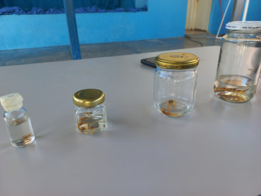Foto 3: Ação educativa em combate e Dengue e o Escorpião