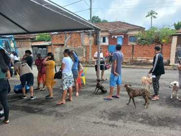 Foto 35: 115 animais são atendidos pelo 