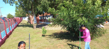 Foto 31: Resumo dos trabalhos realizados durante o mês de janeiro e início de fevereiro