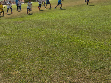 Foto 225: CAQ sagrou-se vice-campeão na categoria 2014 da Copa Mercosul  2026