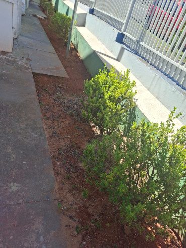 Foto 177: Preparativos para volta às aulas 