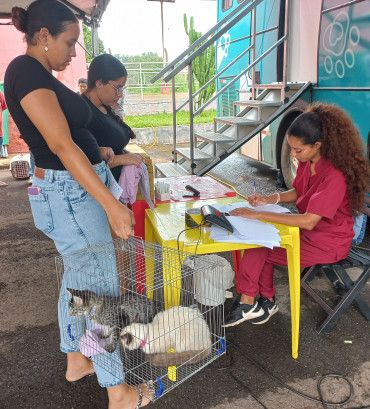 Foto 21: 115 animais são atendidos pelo 