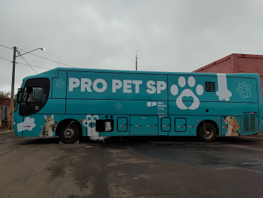 Foto 16: 115 animais são atendidos pelo 