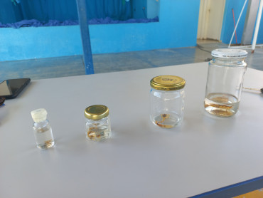 Foto 7: Ação educativa em combate e Dengue e o Escorpião