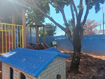 Foto 46: Preparativos para volta às aulas 