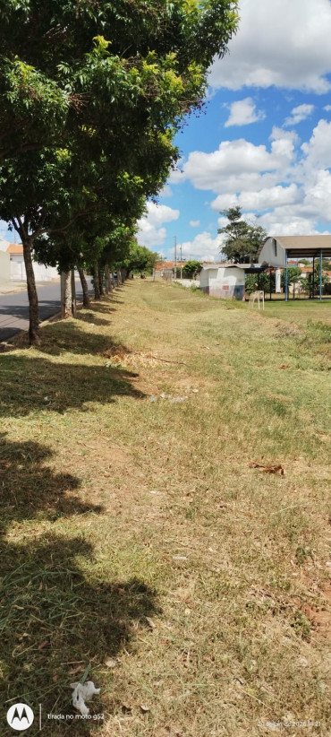 Foto 38: Resumo dos trabalhos realizados durante o mês de janeiro e início de fevereiro