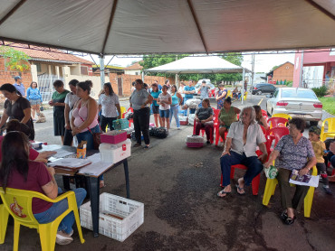 Foto 8: 115 animais são atendidos pelo 