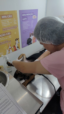 Foto 47: 115 animais são atendidos pelo 