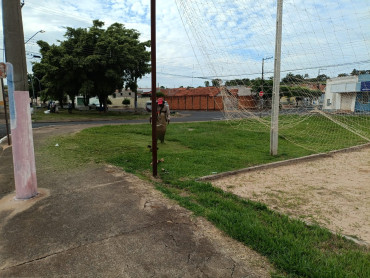 Foto 23: LIMPEZA, MANUTENÇÃO, REPAROS E SERVIÇOS DIVERSOS