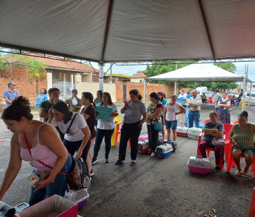 Foto 24: 115 animais são atendidos pelo 