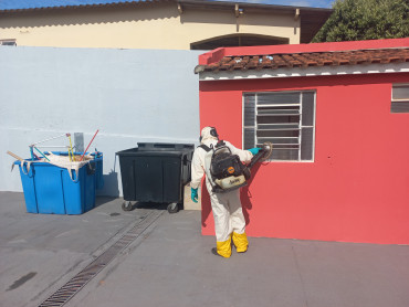 Foto 65: Preparativos para volta às aulas 