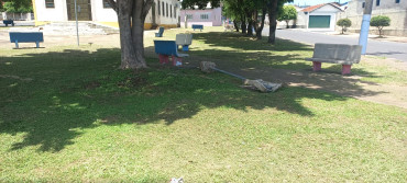 Foto 57: Resumo dos trabalhos realizados durante o mês de janeiro e início de fevereiro