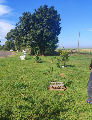 O Pomar Urbano de Quatá já está dando frutos!