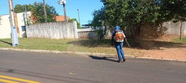 Foto 51: Resumo dos trabalhos realizados durante o mês de janeiro e início de fevereiro
