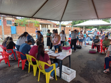 Foto 9: 115 animais são atendidos pelo 