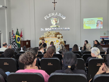 Foto 8: Aleitamento materno: informação que transforma!