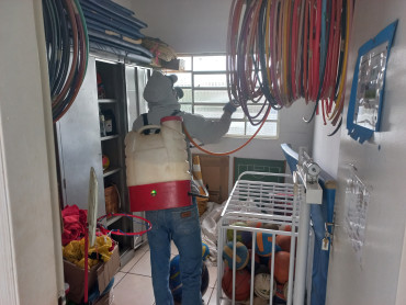 Foto 152: Preparativos para volta às aulas 