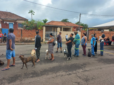 Foto 32: 115 animais são atendidos pelo 
