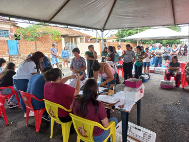 Foto 58: 115 animais são atendidos pelo 