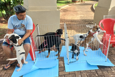 Foto 11: Vacinação antirrábica, testes de leishmaniose e adoção de animais são realizados em Quatá