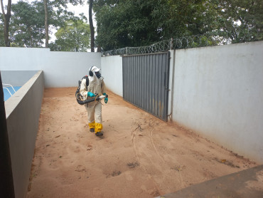 Foto 101: Preparativos para volta às aulas 