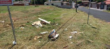 Foto 50: Resumo dos trabalhos realizados durante o mês de janeiro e início de fevereiro