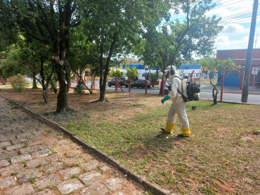 Foto 141: Preparativos para volta às aulas 