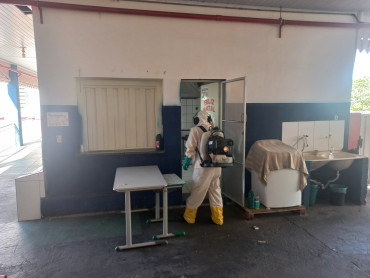 Foto 73: Preparativos para volta às aulas 