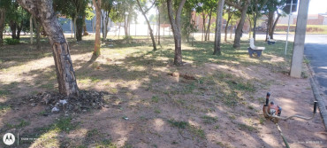 Foto 54: Resumo dos trabalhos realizados durante o mês de janeiro e início de fevereiro