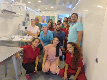 Foto 49: 115 animais são atendidos pelo 