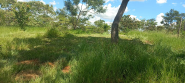 Foto 6: LIMPEZA, MANUTENÇÃO, REPAROS E SERVIÇOS DIVERSOS